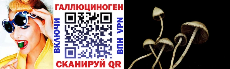 Галлюциногенные грибы GOLDEN TEACHER  Купить  Вельск 